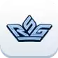 RSG